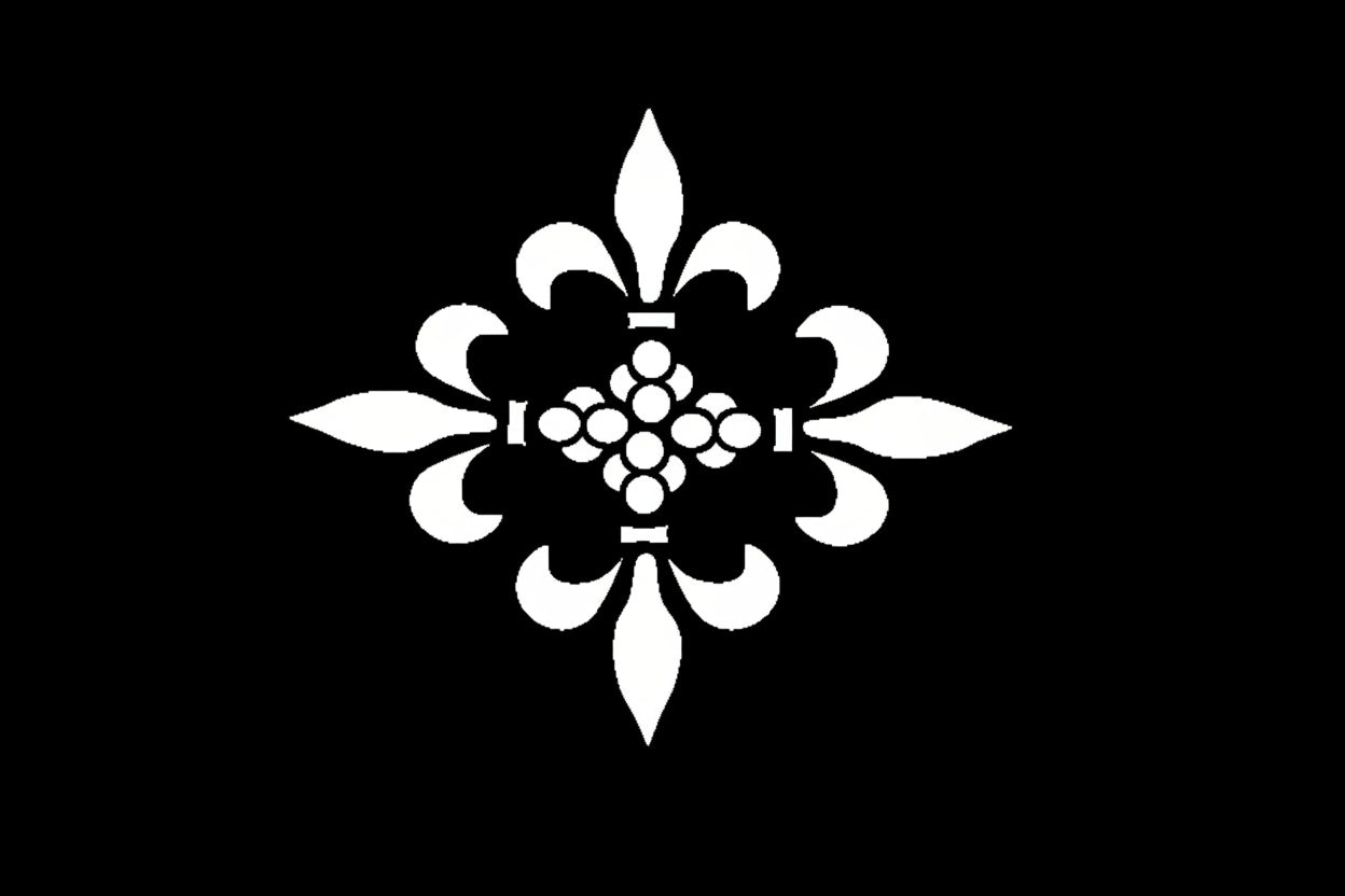 T SHIRT NOIR BOXY NZ